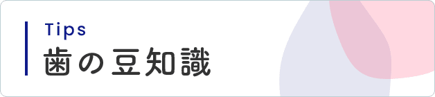歯の豆知識 Tips