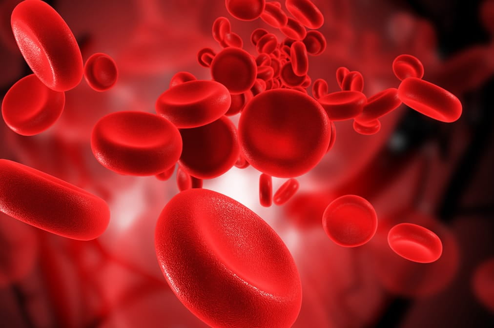 歯と歯肉の間に残ってしまうプラーク（歯垢）